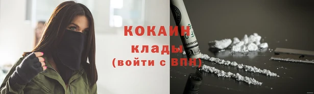 стаф Кукмор