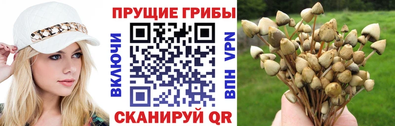закладки  Мурино  KRAKEN зеркало  Галлюциногенные грибы ЛСД 