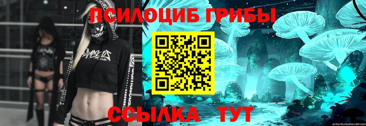 Псилоцибиновые грибы ЛСД  Галлюциногенные грибы мицелий  Вход с VPN  Мурино 